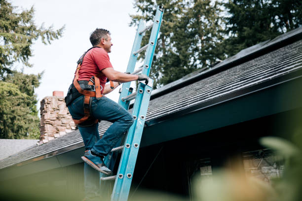 Best Asphalt Shingles Roofing  in Cocoa West, FL